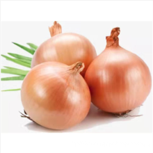 Fresh Onion with Cheap Price